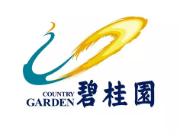 大丰碧桂园地产